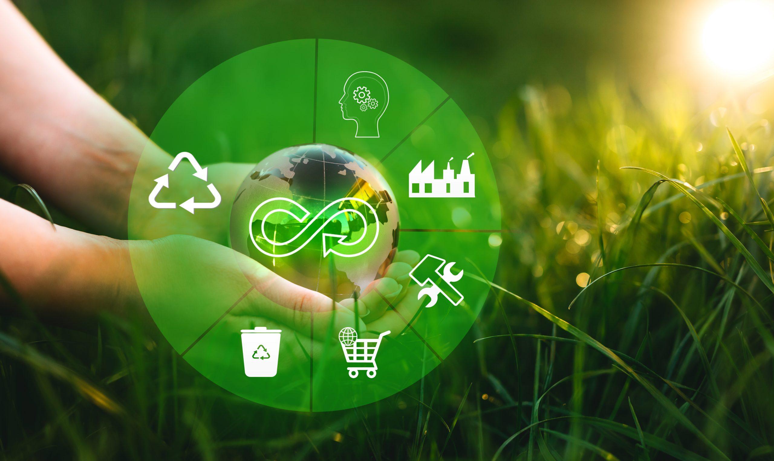 Circular economy concept. Sharing, reusing,repairing,renovating Grundlagen der Selbstorganisation